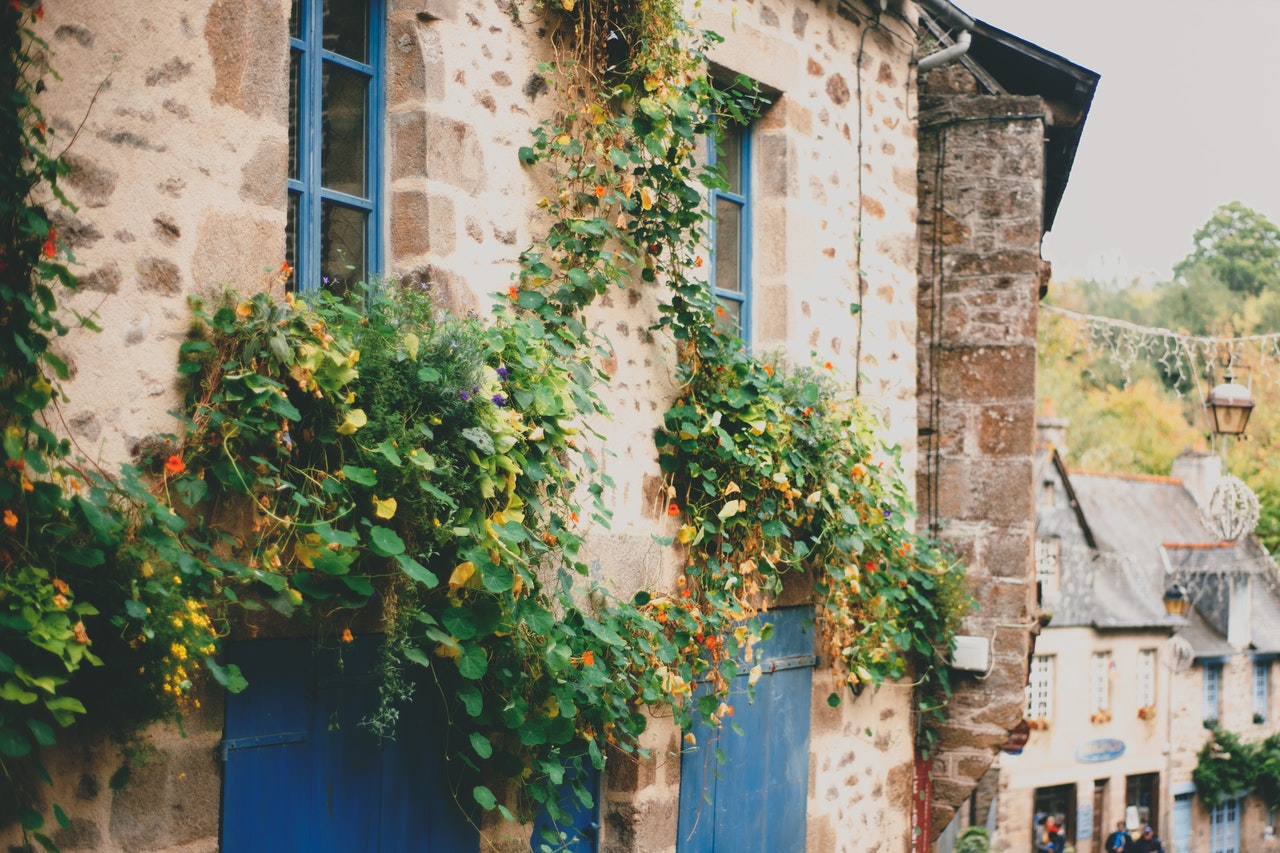 How to Decorate Your House on a Budget