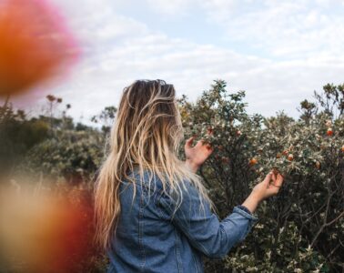 Top 6 Tips for Your Backyard Project