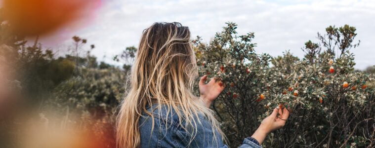 Top 6 Tips for Your Backyard Project