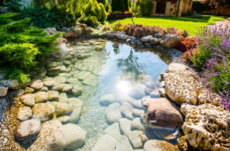 A Homeowners Guide To Building Your Own Pond