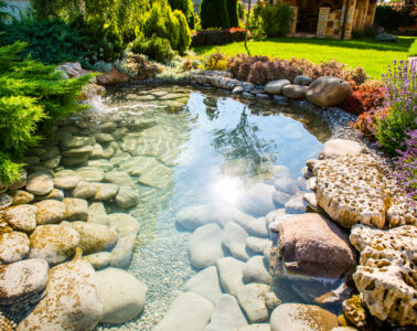 A Homeowners Guide To Building Your Own Pond