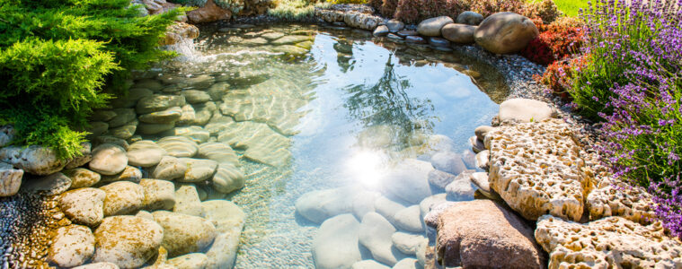 A Homeowners Guide To Building Your Own Pond