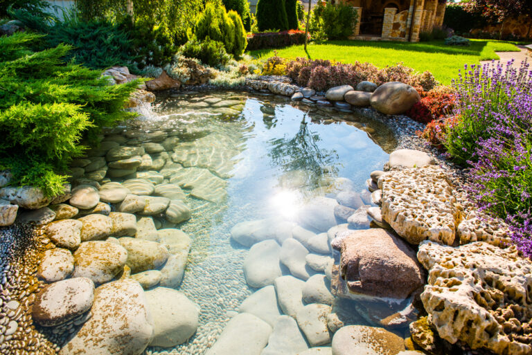 A Homeowners Guide To Building Your Own Pond