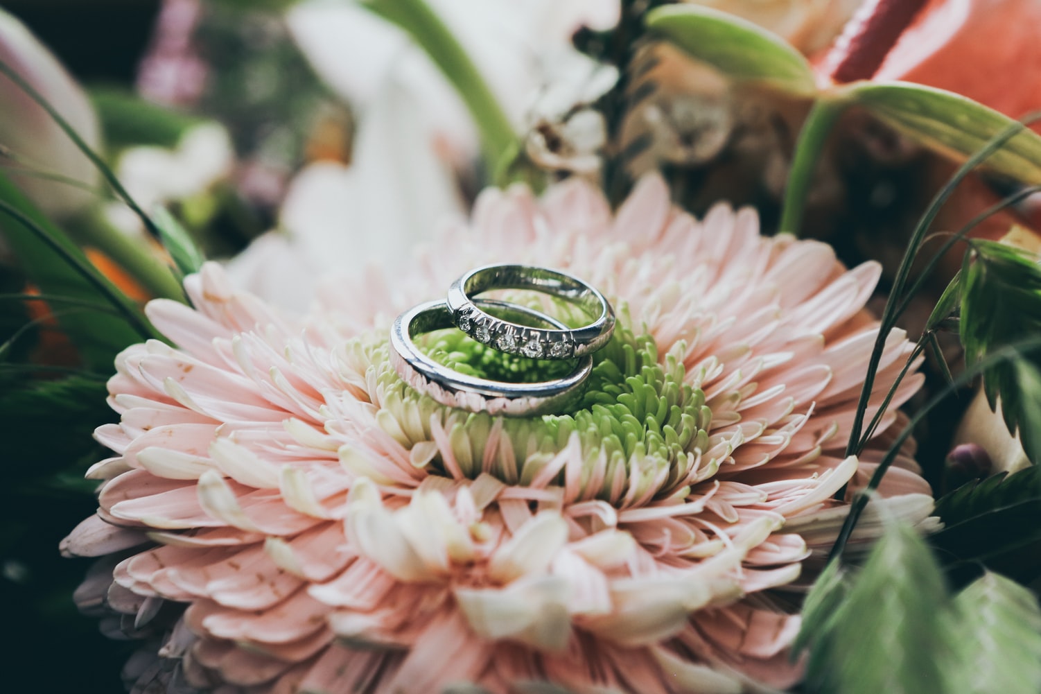 Wedding Checklist to Plan a Wedding on a Small Budget Best Finance Blog