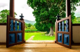 How to design your backyard into a relaxing space