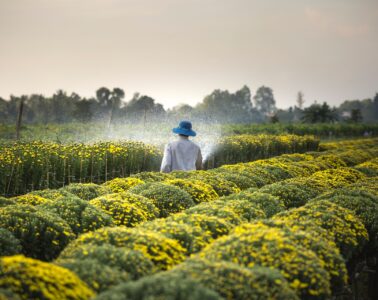 3 Interesting Financial Facts to Know About the Agriculture Industry