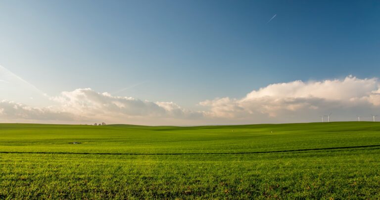 Incredible Benefits Of Buying Vacant Land