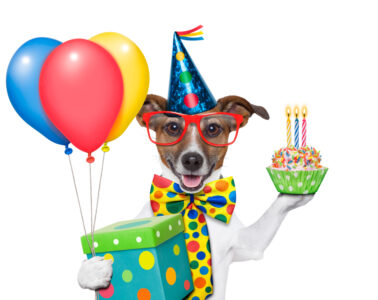How to Celebrate Your Dog While on a Tight Budget