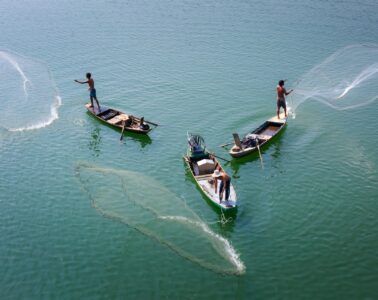 7 Cost-Effective Ways to Upgrade the Items in a Tackle Box