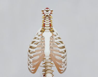 9 Tips For Healing from a Back Injury