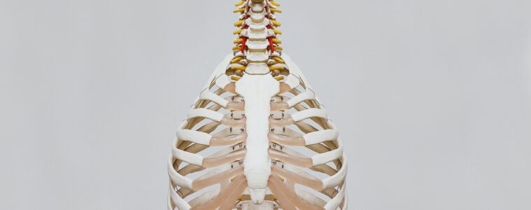 9 Tips For Healing from a Back Injury