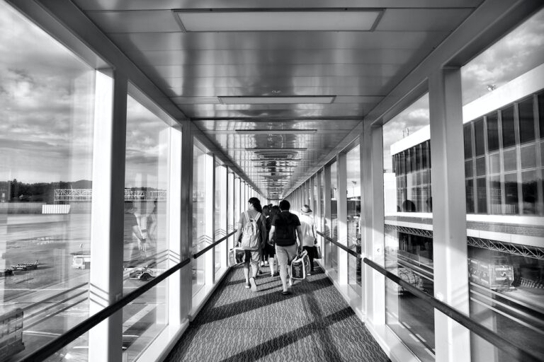renew tsa precheck