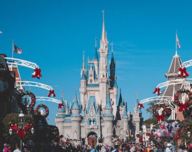 how much money does disneyland make a day