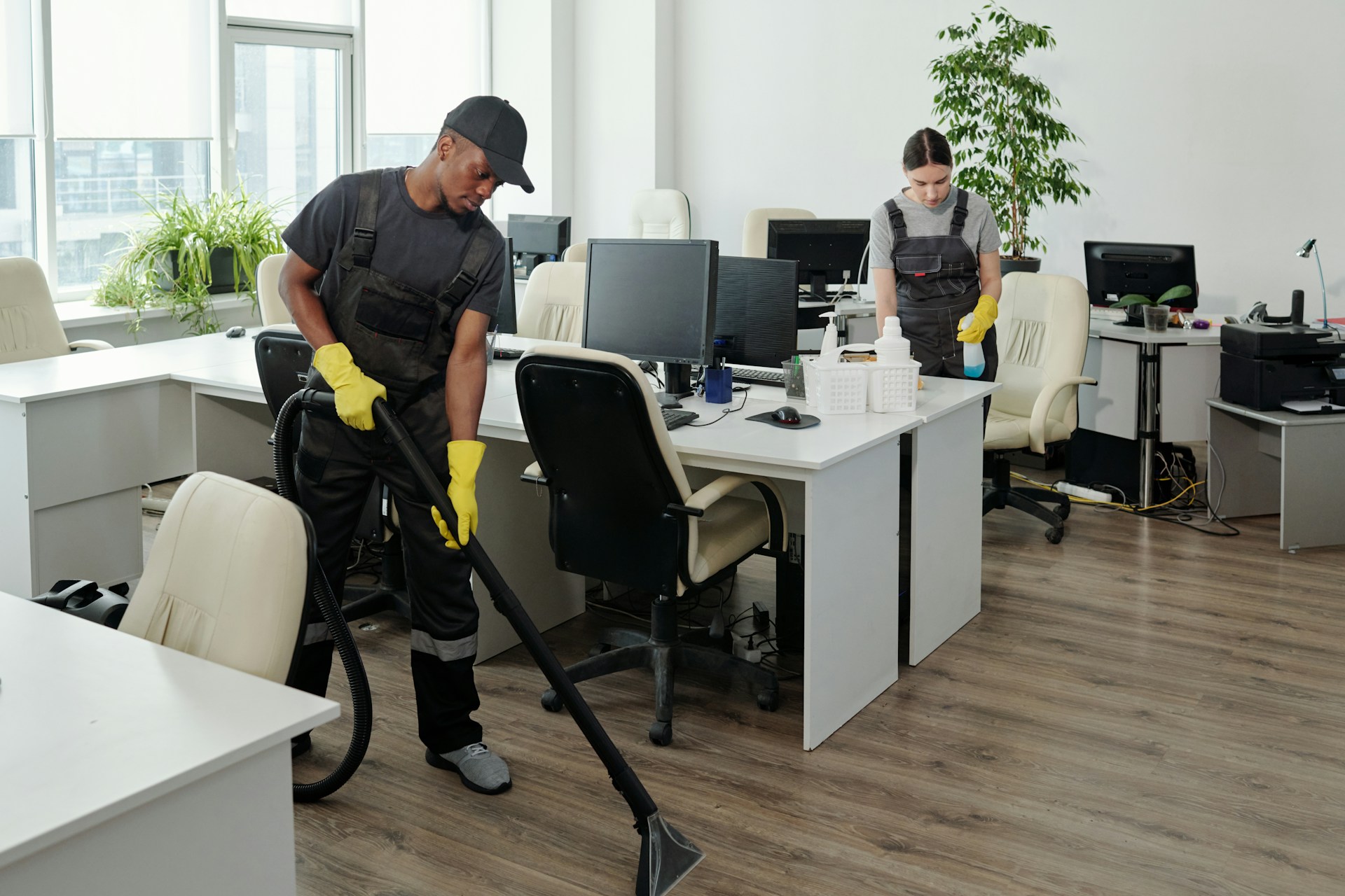 4 Ways Pest Control Services Help Save Money in the Long Run