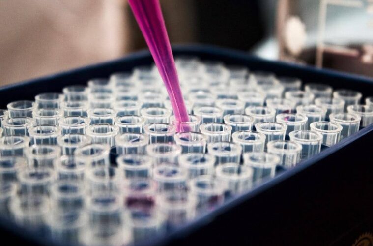 Building an Effective Chargeback Representment Process for Research Chemical Sellers